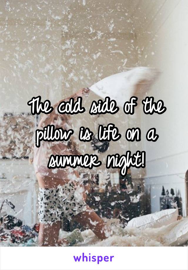 The cold side of the pillow is life on a summer night!