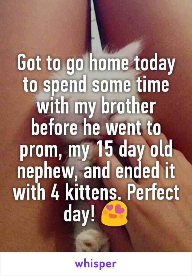 Got to go home today to spend some time with my brother before he went to prom, my 15 day old nephew, and ended it with 4 kittens. Perfect day! 😍