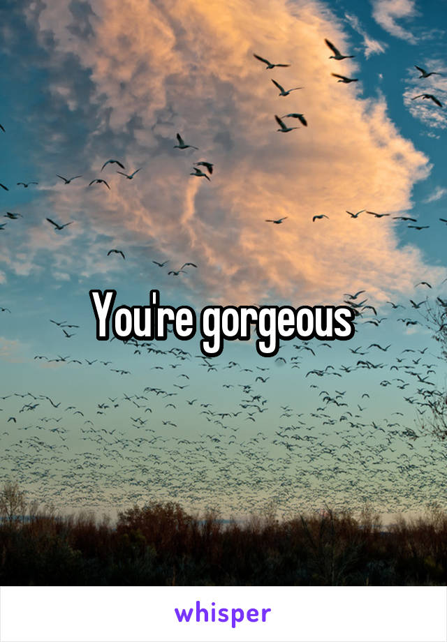 You're gorgeous 