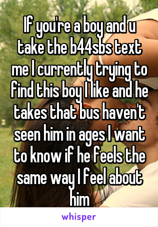 If you're a boy and u take the b44sbs text me I currently trying to find this boy I like and he takes that bus haven't seen him in ages I want to know if he feels the same way I feel about him