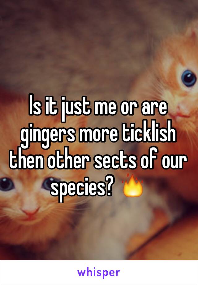 Is it just me or are gingers more ticklish then other sects of our species? 🔥