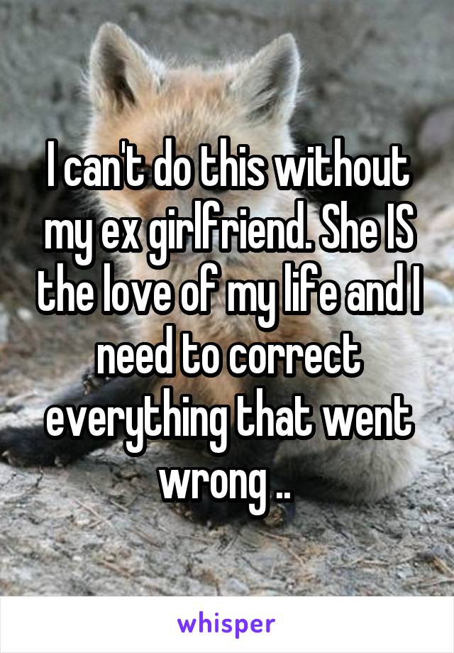 I can't do this without my ex girlfriend. She IS the love of my life and I need to correct everything that went wrong .. 