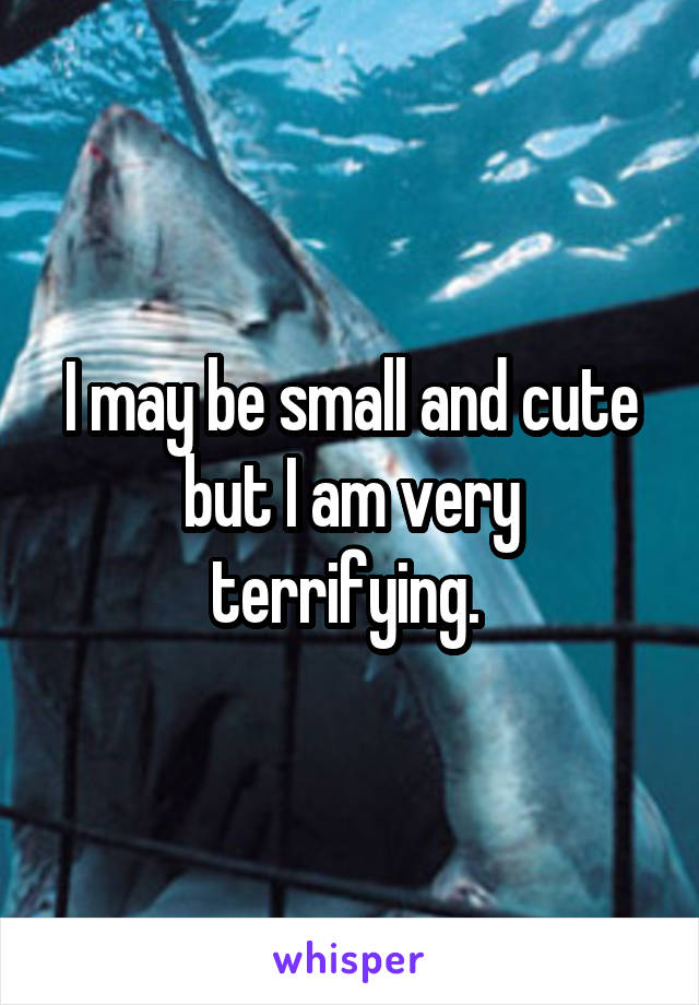 I may be small and cute but I am very terrifying. 