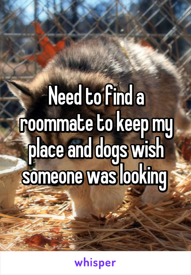 Need to find a roommate to keep my place and dogs wish someone was looking 