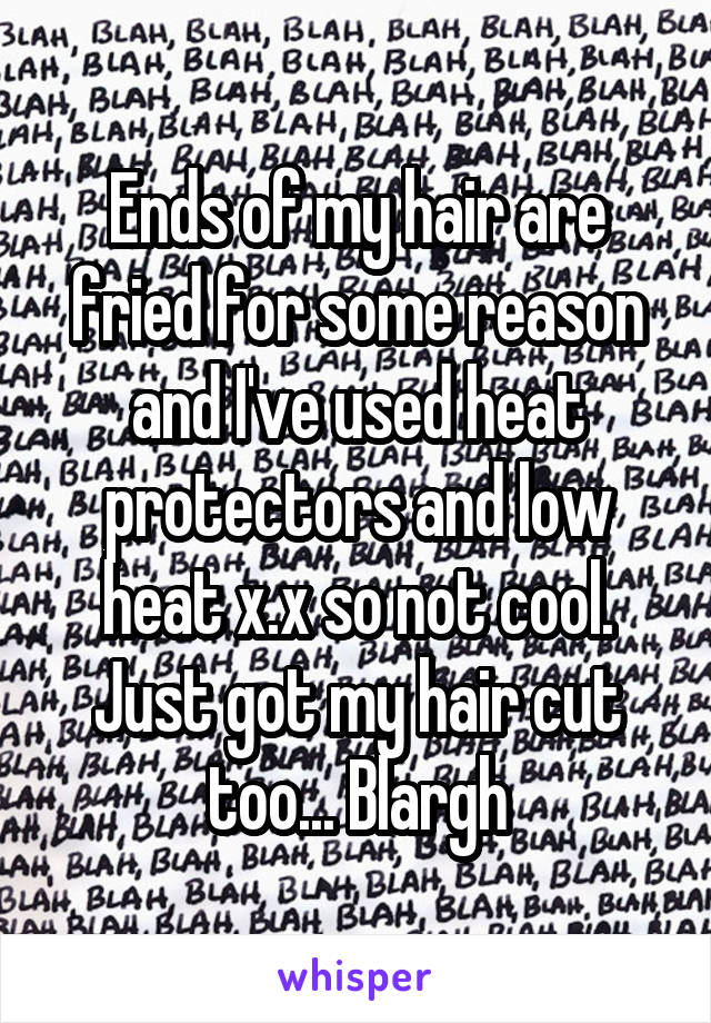 Ends of my hair are fried for some reason and I've used heat protectors and low heat x.x so not cool. Just got my hair cut too... Blargh