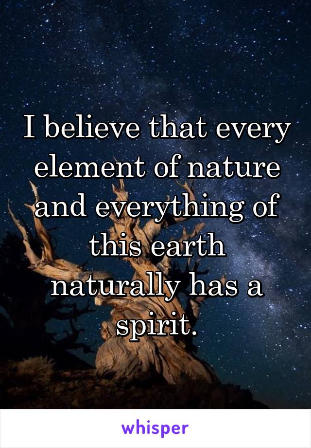 I believe that every element of nature and everything of this earth naturally has a spirit.