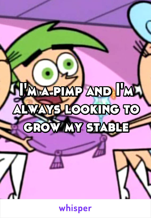 I'm a pimp and I'm always looking to grow my stable