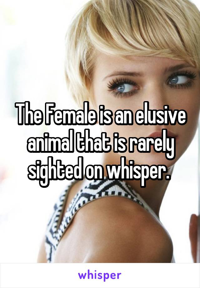 The Female is an elusive animal that is rarely sighted on whisper. 