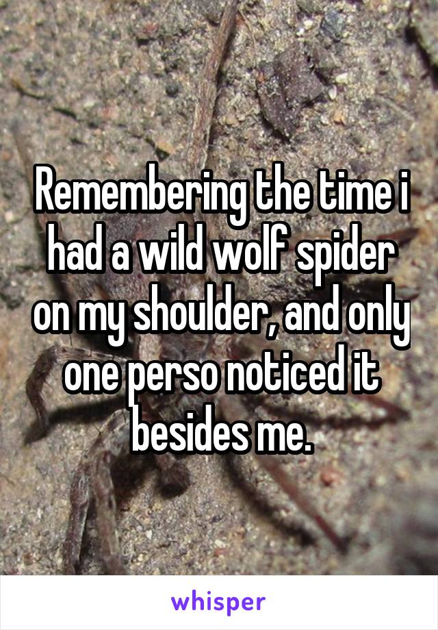 Remembering the time i had a wild wolf spider on my shoulder, and only one perso noticed it besides me.