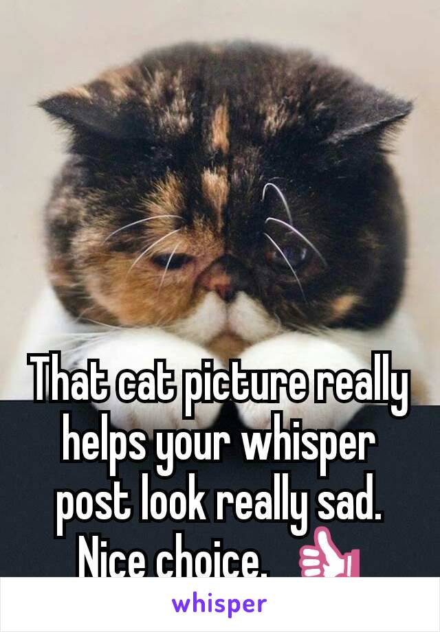 That cat picture really helps your whisper post look really sad. Nice choice.  👍