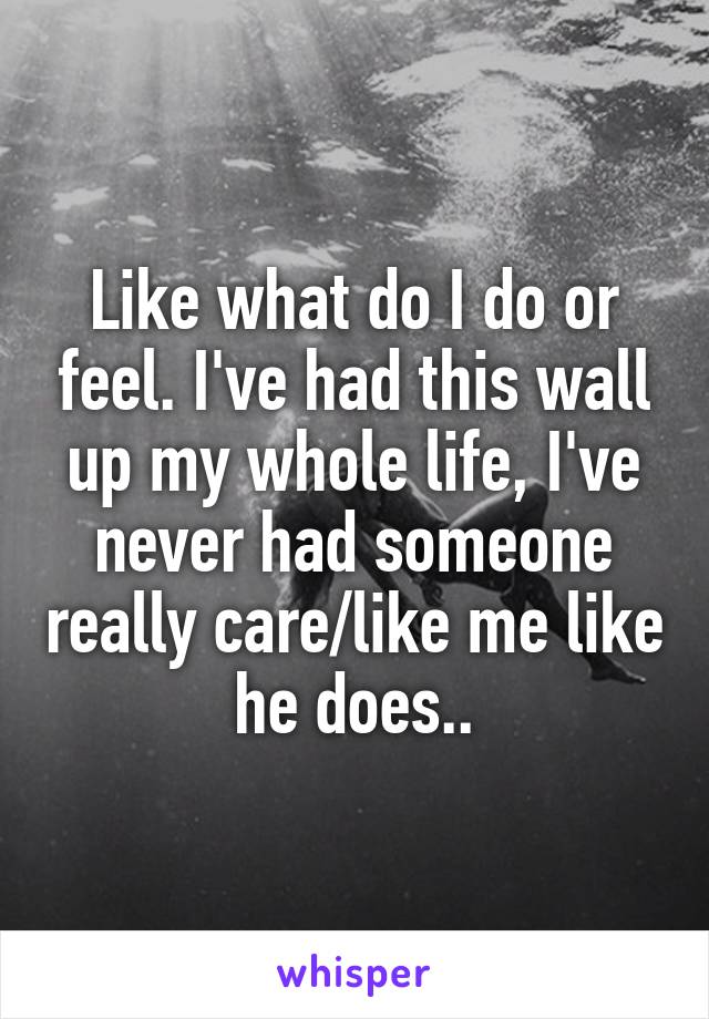 Like what do I do or feel. I've had this wall up my whole life, I've never had someone really care/like me like he does..