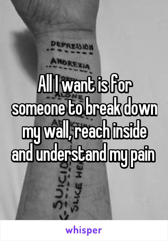 All I want is for someone to break down my wall, reach inside and understand my pain 