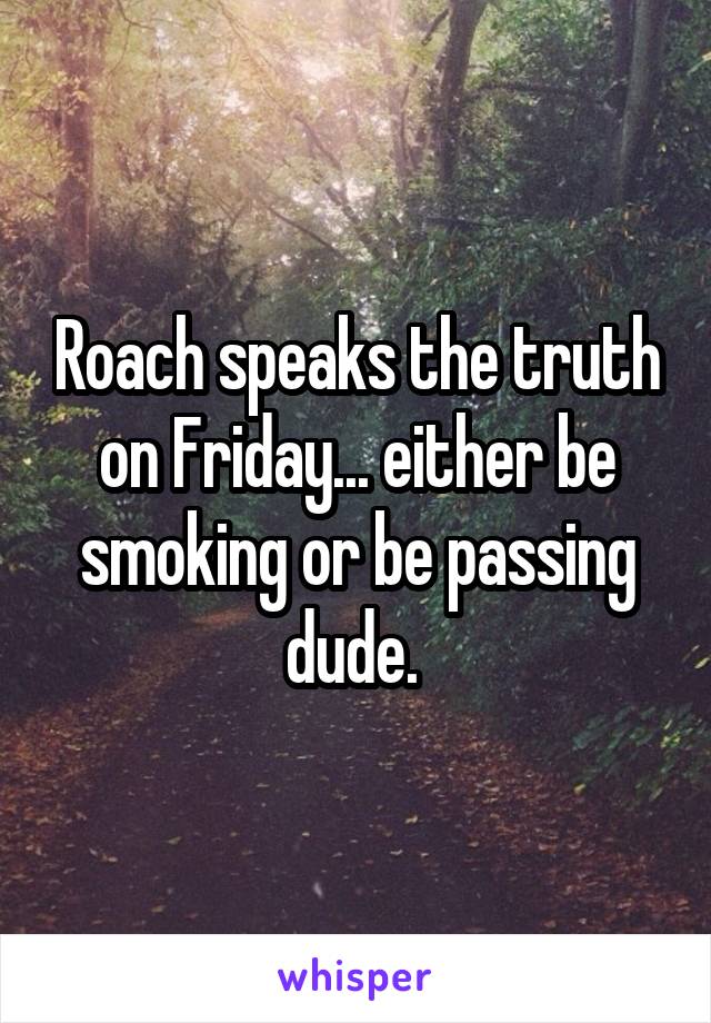 Roach speaks the truth on Friday... either be smoking or be passing dude. 