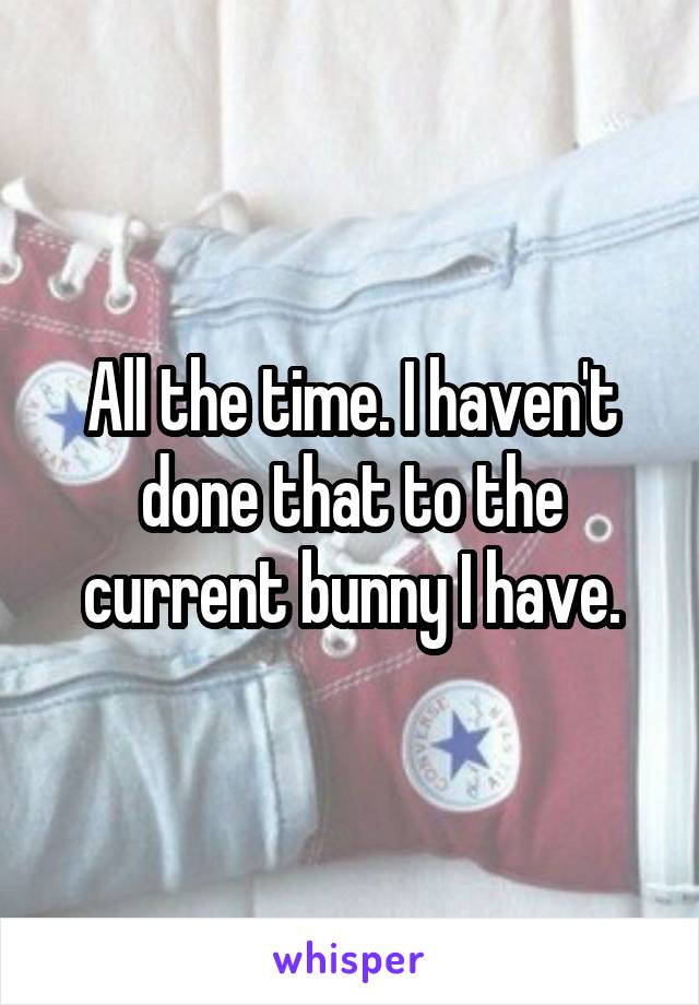 All the time. I haven't done that to the current bunny I have.