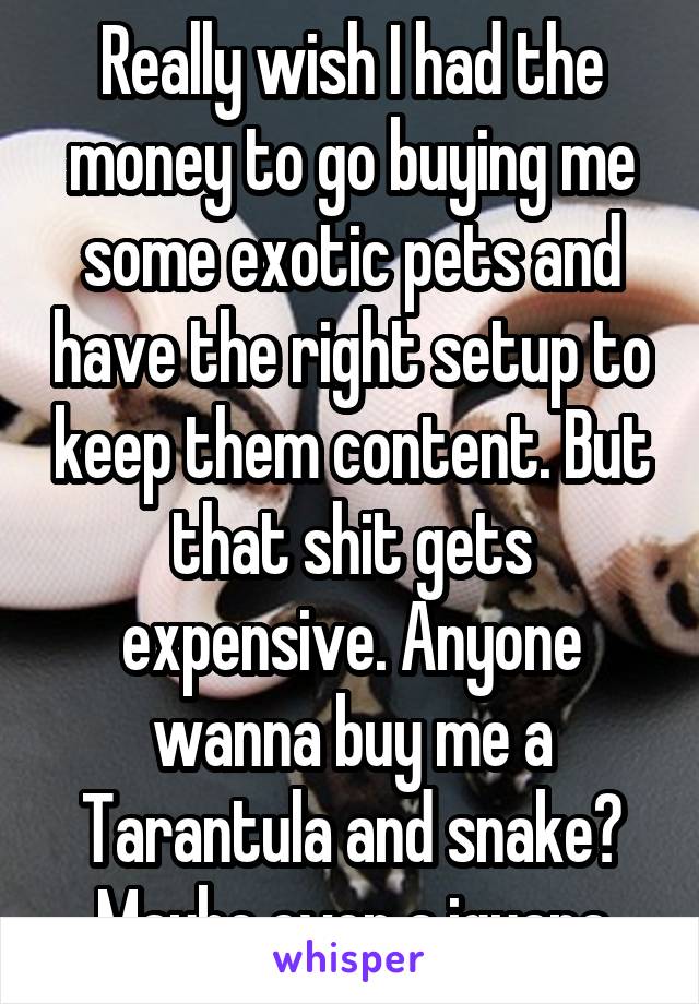 Really wish I had the money to go buying me some exotic pets and have the right setup to keep them content. But that shit gets expensive. Anyone wanna buy me a Tarantula and snake? Maybe even a iguana