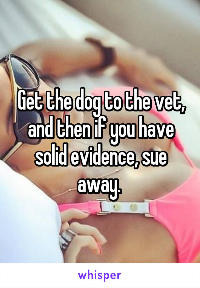 Get the dog to the vet, and then if you have solid evidence, sue away. 