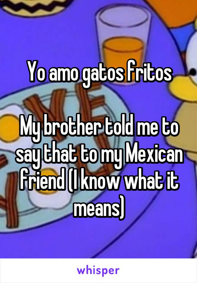 Yo amo gatos fritos

My brother told me to say that to my Mexican friend (I know what it means)