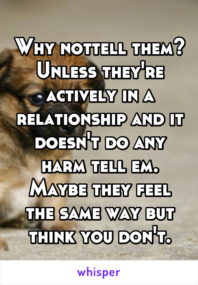 Why nottell them? Unless they're actively in a relationship and it doesn't do any harm tell em. Maybe they feel the same way but think you don't.