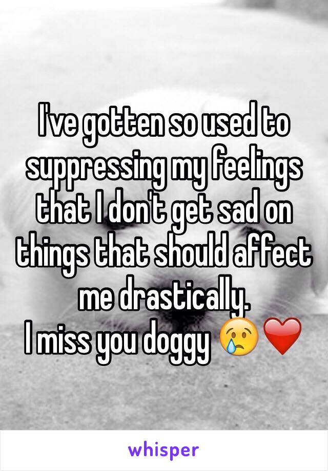 I've gotten so used to suppressing my feelings that I don't get sad on things that should affect me drastically.
I miss you doggy 😢❤️