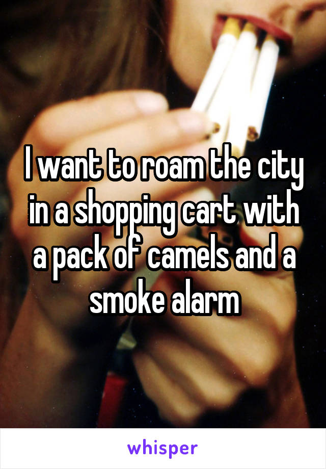 I want to roam the city in a shopping cart with a pack of camels and a smoke alarm