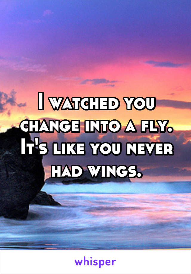 I watched you change into a fly.
It's like you never had wings.