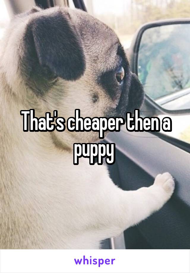 That's cheaper then a puppy 