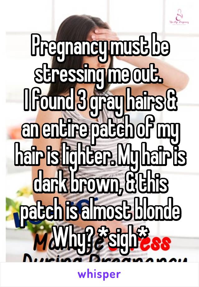 Pregnancy must be stressing me out. 
I found 3 gray hairs & an entire patch of my hair is lighter. My hair is dark brown, & this patch is almost blonde
Why? *sigh*