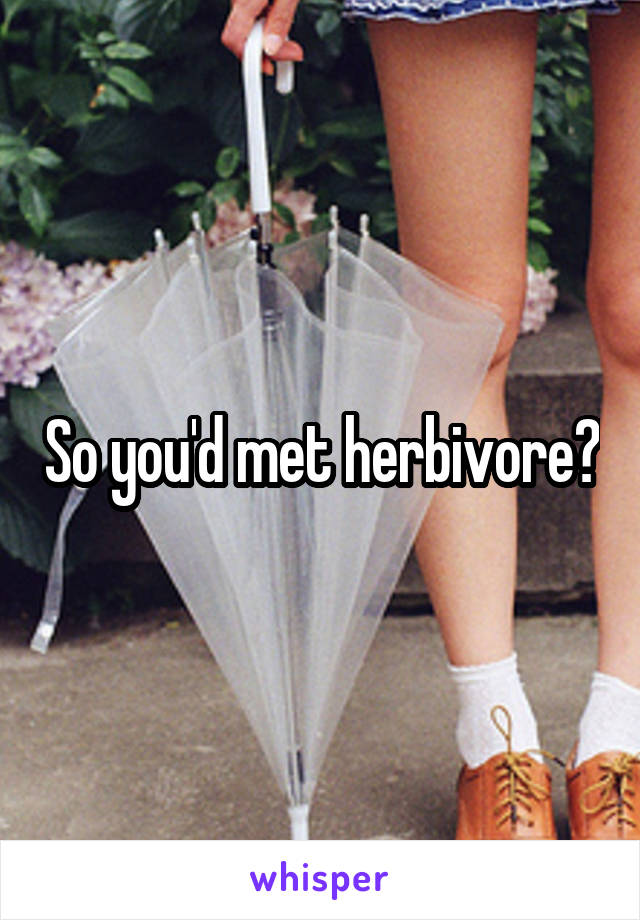 So you'd met herbivore?