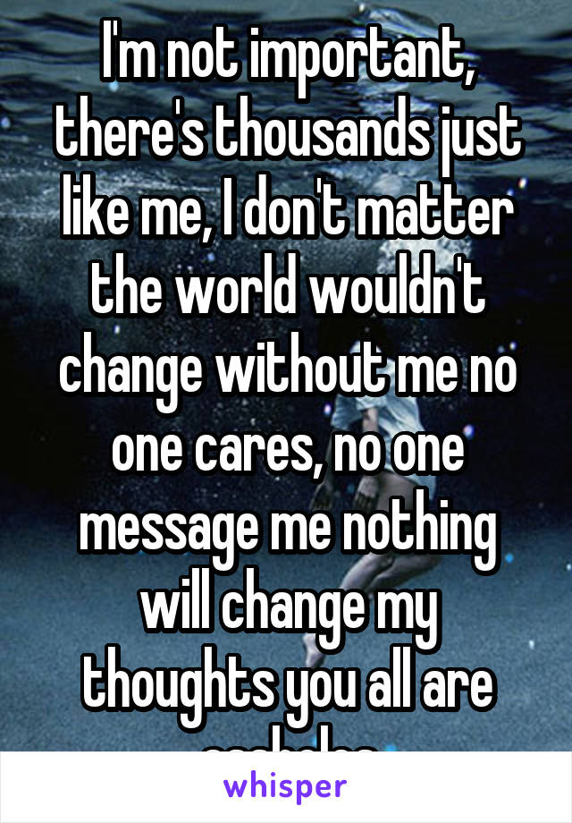 I'm not important, there's thousands just like me, I don't matter the world wouldn't change without me no one cares, no one message me nothing will change my thoughts you all are assholes