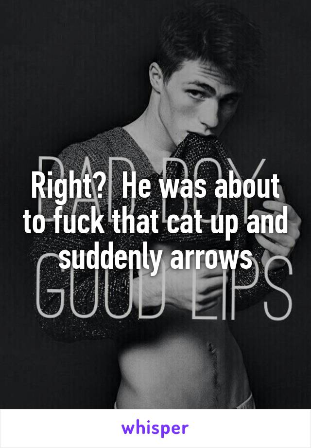 Right?  He was about to fuck that cat up and suddenly arrows