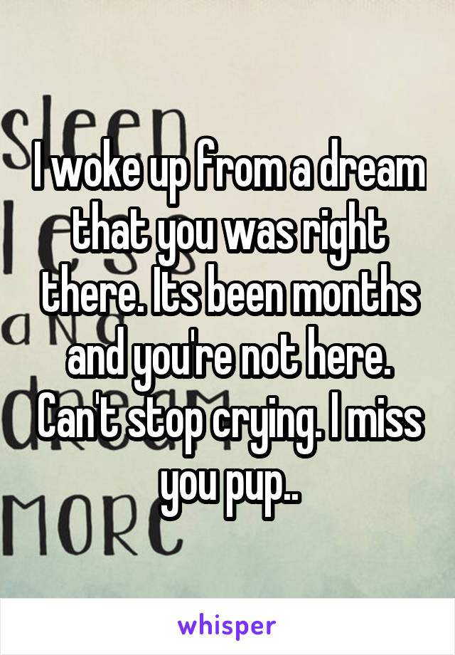 I woke up from a dream that you was right there. Its been months and you're not here. Can't stop crying. I miss you pup..