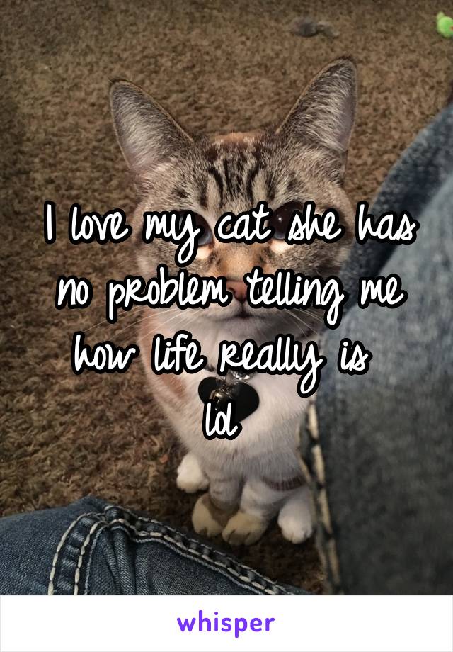 I love my cat she has no problem telling me how life really is 
lol 