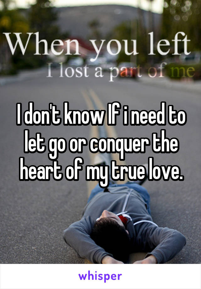 I don't know If i need to let go or conquer the heart of my true love.