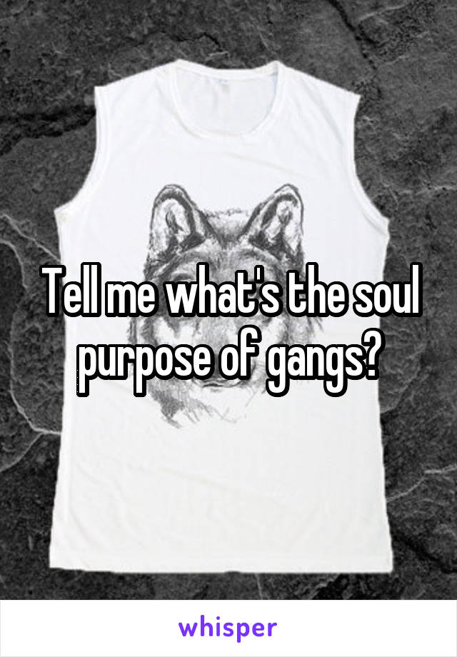 Tell me what's the soul purpose of gangs?