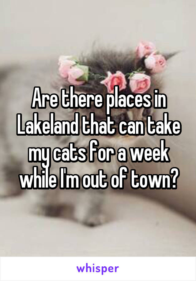 Are there places in Lakeland that can take my cats for a week while I'm out of town?