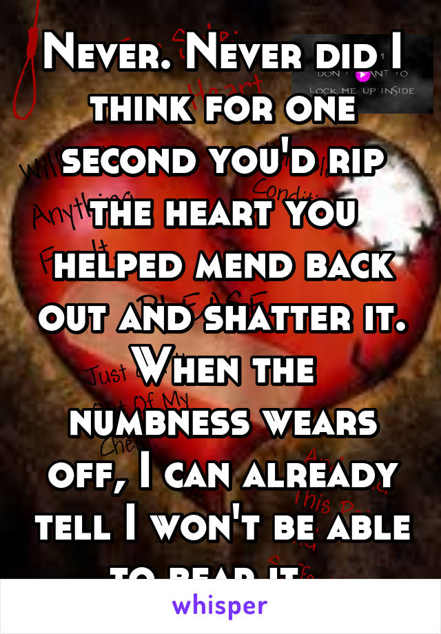 Never. Never did I think for one second you'd rip the heart you helped mend back out and shatter it.
When the numbness wears off, I can already tell I won't be able to bear it...