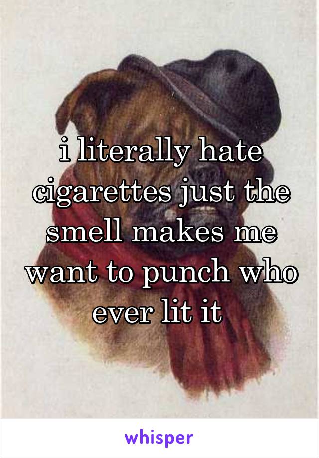 i literally hate cigarettes just the smell makes me want to punch who ever lit it 