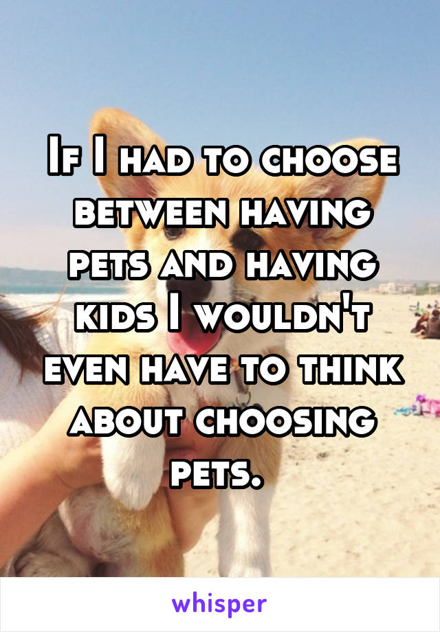 If I had to choose between having pets and having kids I wouldn't even have to think about choosing pets. 