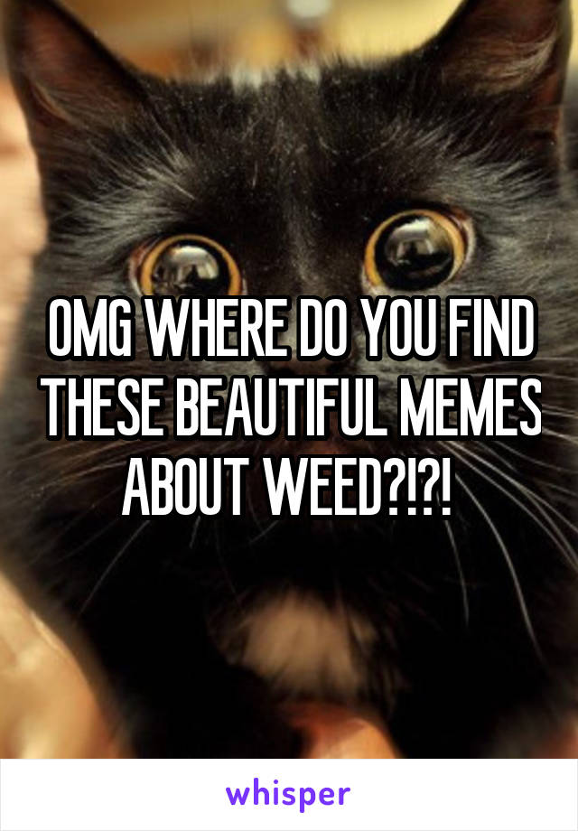 OMG WHERE DO YOU FIND THESE BEAUTIFUL MEMES ABOUT WEED?!?! 