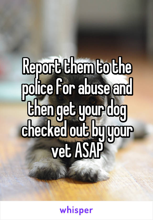 Report them to the police for abuse and then get your dog checked out by your vet ASAP