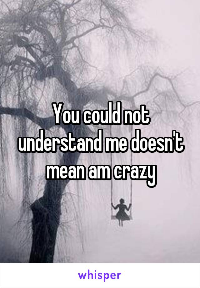 You could not understand me doesn't mean am crazy