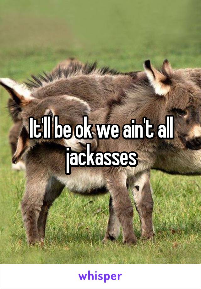 It'll be ok we ain't all jackasses