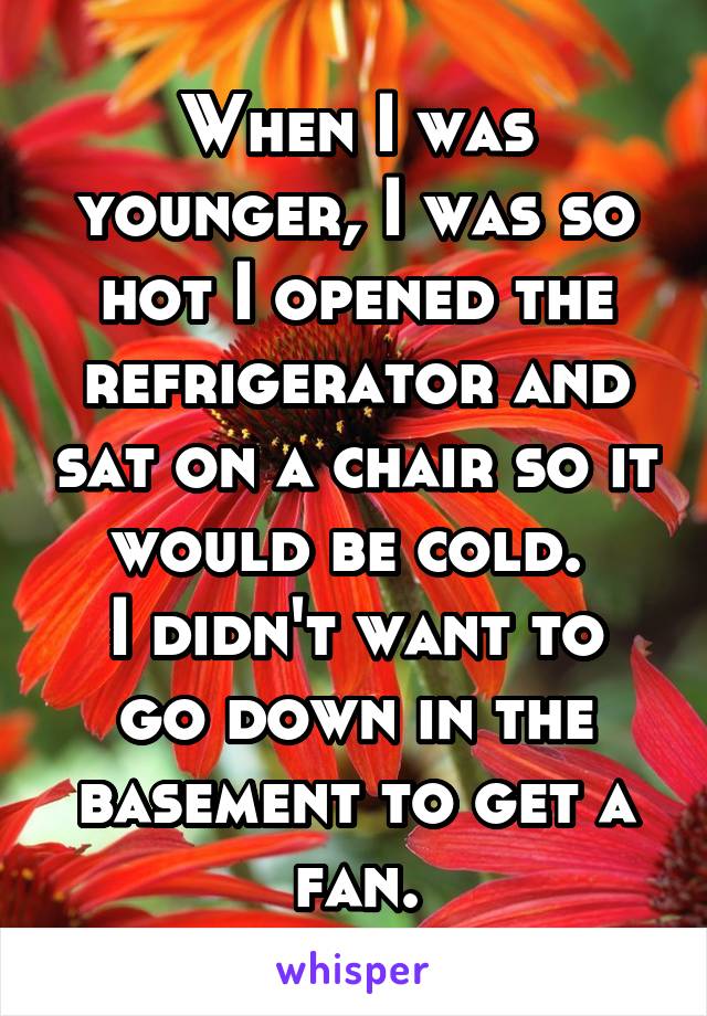 When I was younger, I was so hot I opened the refrigerator and sat on a chair so it would be cold. 
I didn't want to go down in the basement to get a fan.