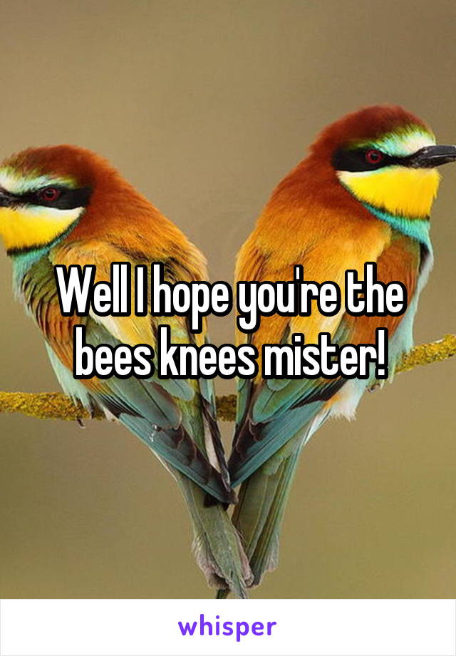 Well I hope you're the bees knees mister!