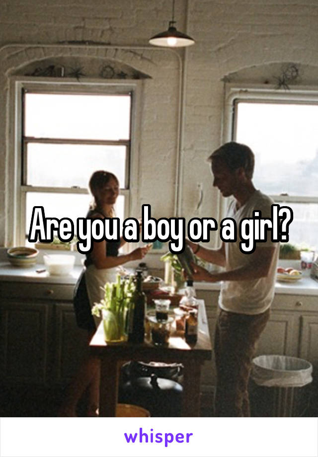 Are you a boy or a girl?