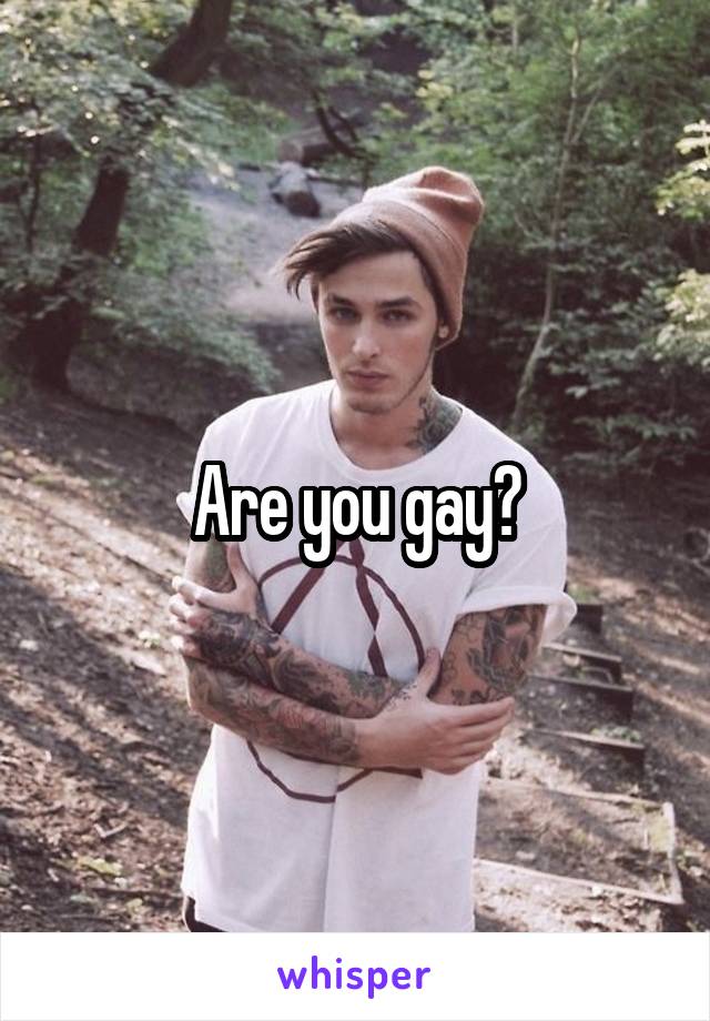 Are you gay?