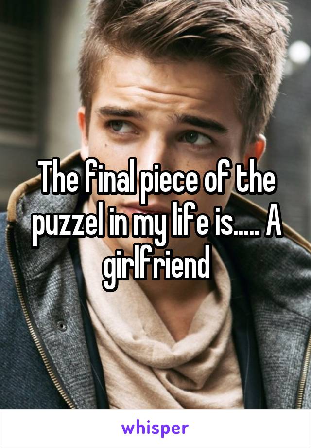 The final piece of the puzzel in my life is..... A girlfriend