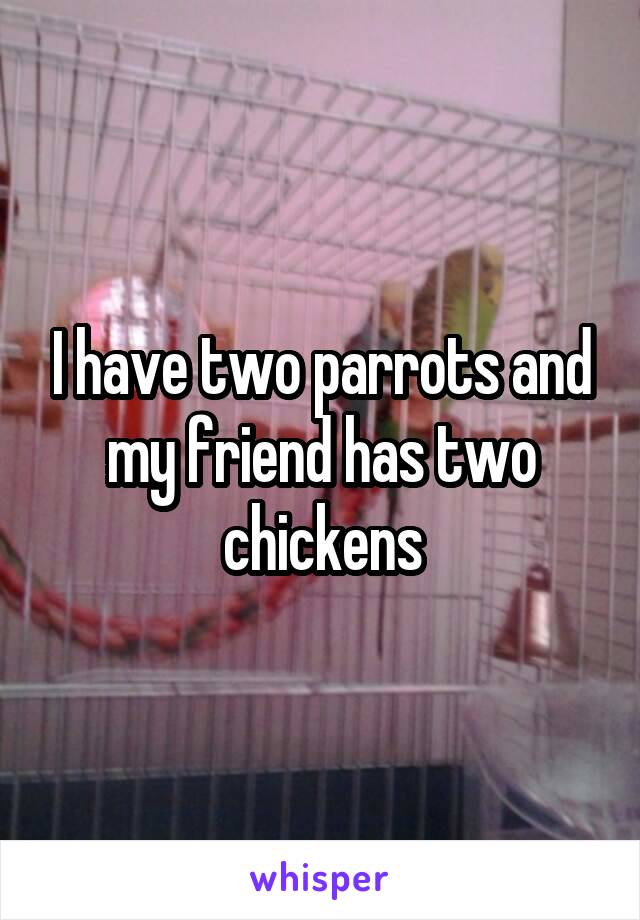 I have two parrots and my friend has two chickens