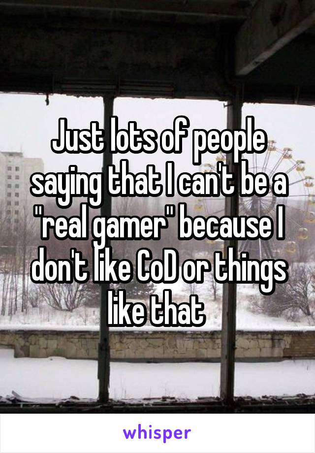 Just lots of people saying that I can't be a "real gamer" because I don't like CoD or things like that 