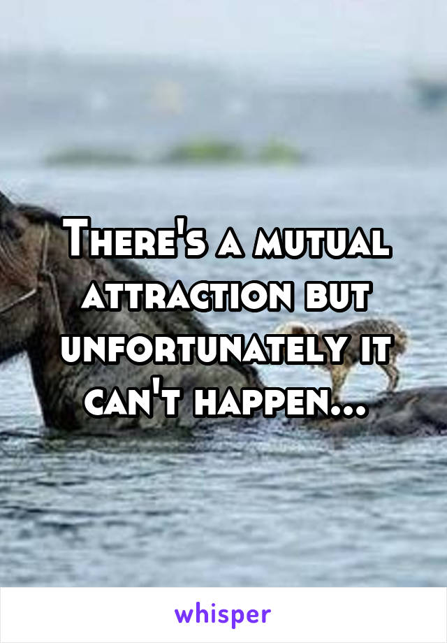 There's a mutual attraction but unfortunately it can't happen...